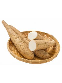 สารสกัดมันเทศป่า Wild Yam Hydro-Glycolic Extract 50g.