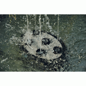 Water Quintet