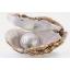 สารสกัดไข่มุก (ฝรั่งเศส) Pearl Extract 100g.