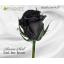สารสกัดกุหลาบดำ Stunning Black 100g.