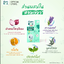 [1แถม1] Happy Noz สติ๊กเกอร์หัวหอม ออร์แกนิค