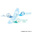 Sanita ผ้าอนามัยแบบห่วง หลังคลอด [ห่อ10ชิ้น]