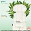 GLOWY Star เบาะรองรถเข็น Organic Suppost