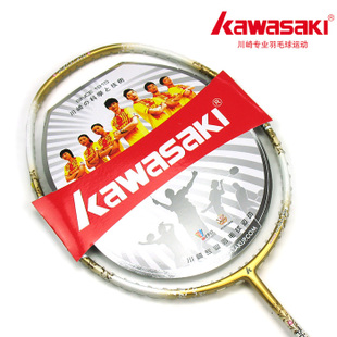 Kawasaki PORCELAIN 6770