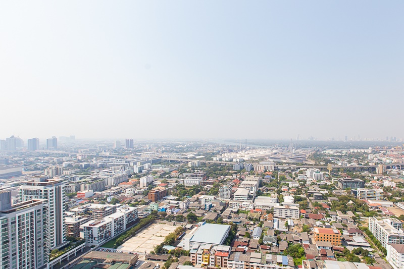 ให้เช่าคอนโด เดอะไลน์ สุขุมวิท 101 พื้นที่ 32.75 ตร.ม. 1 ห้องนอน เช่า 18,000 บ/ด