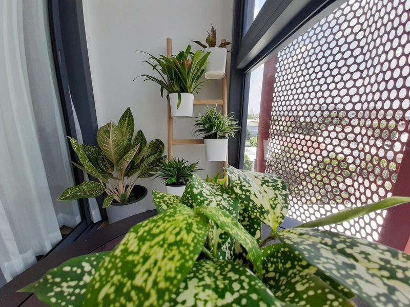 ให้เช่าคอนโด ทากะ เฮาส์ เอกมัย 12 พื้นที่ 43.76 ตร.ม. 1 ห้องนอน เช่า 36,000 บ/ด