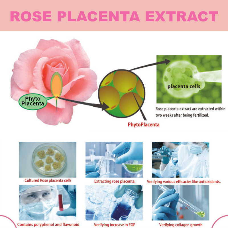 Rose Placenta Extract สเต็มเซลรกกุหลาบ 10g. นำเข้าจากญี่ปุ่น