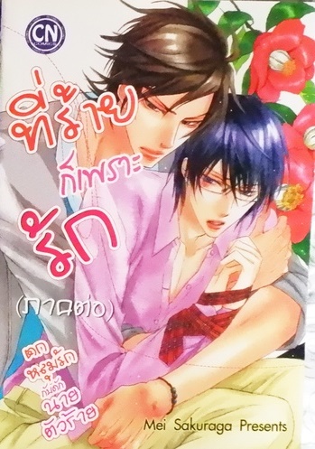 ที่ร้ายก็เพราะรัก (หนังสือเช่า)