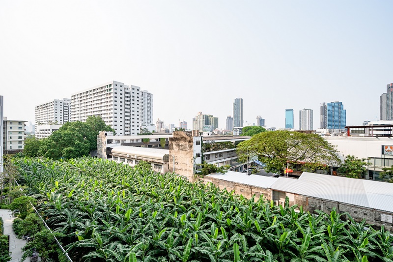 ให้เช่าคอนโด เอ็กซ์ที เอกมัย พื้นที่ 31.53 ตร.ม. 1 ห้องนอน เช่า 20,000 บ/ด