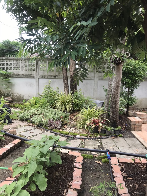 ให้เช่าบ้านเดียว 2 ชั้น ย่านพุทธมนฑลสาย 2 พื้นที่ 100 ตรว. 4 ห้องนอน 25,000 บ/ด