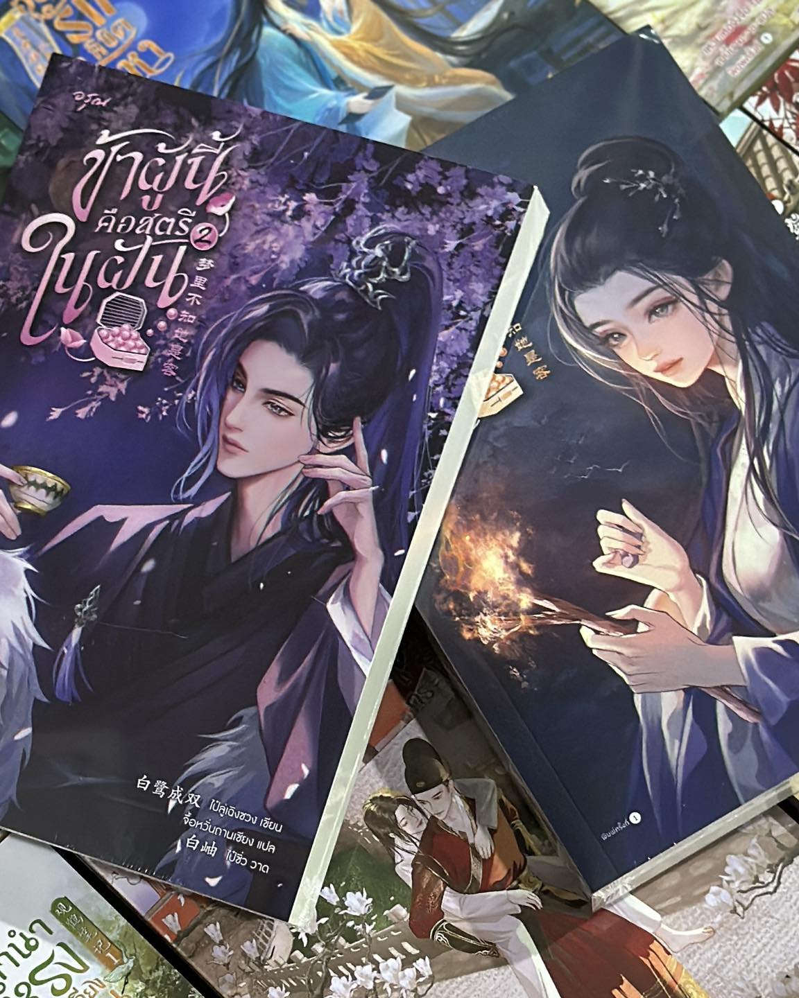 ข้าผู้นี้คือสตรีในฝัน เล่ม 1-2 ส่งฟรี (4 เล่มจบ) 梦里不知她是客 ไป๋ลู่เฉิงซวง 白鹭成双 อรุณ ในเครืออมรินทร์