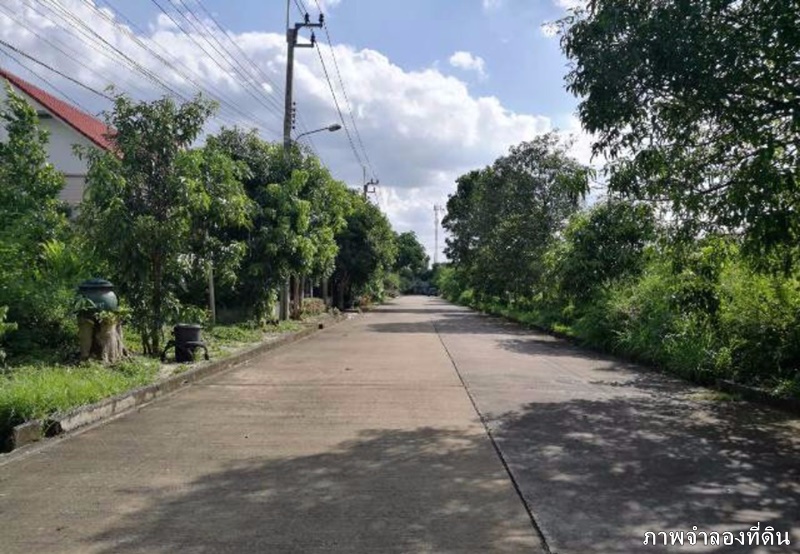 ขายที่ดินเปล่า 75 ตร.ว. หมู่บ้านฟลอร่าวิลล์ พาร์ค ซิตี้ ขาย 1.25 ล้านบาท