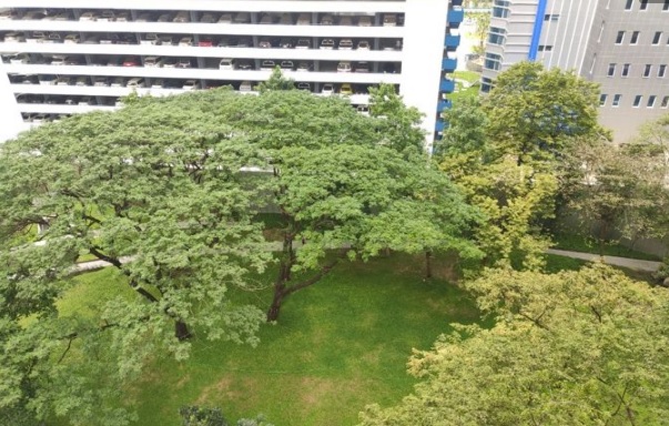 ให้เช่าคอนโด เดอะ ไลน์ พหลโยธิน พาร์ค พื้นที่ 60 ตรม. 2 ห้องนอน เช่า 32,000 บาท/เดือน