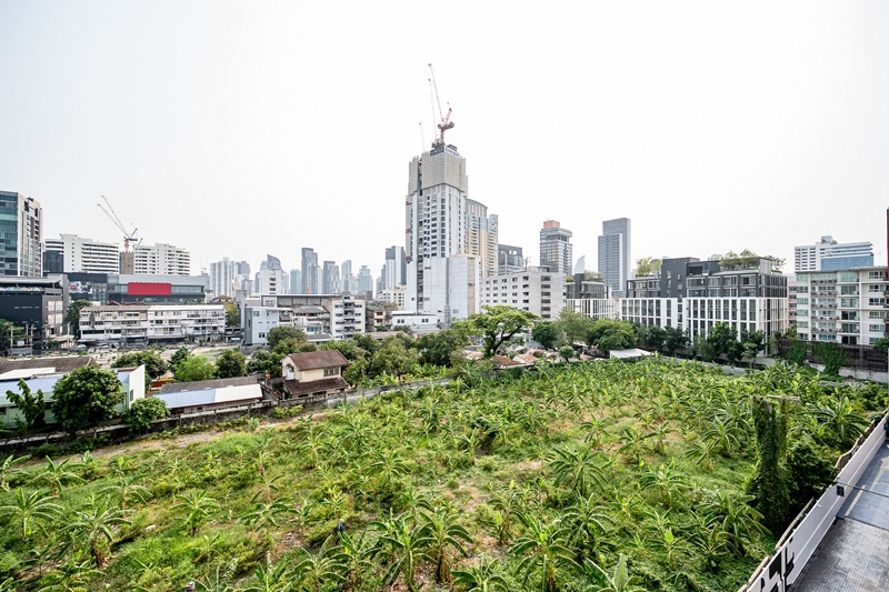 ให้เช่าคอนโด เอ็กซ์ที เอกมัย พื้นที่ 29.79 ตร.ม. 1 ห้องนอน เช่า 20,000 บ/ด