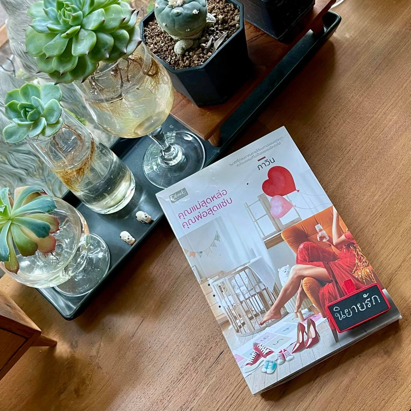 คุณแม่สุดหล่อคุณพ่อสุดแซ่บ ภาวิน ดีบุ๊คส์ ในเครือ dbooksgroup