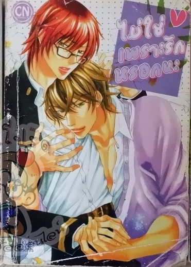 ไม่ใช่เพราะรักหรอกนะ (หนังสือเช่า)