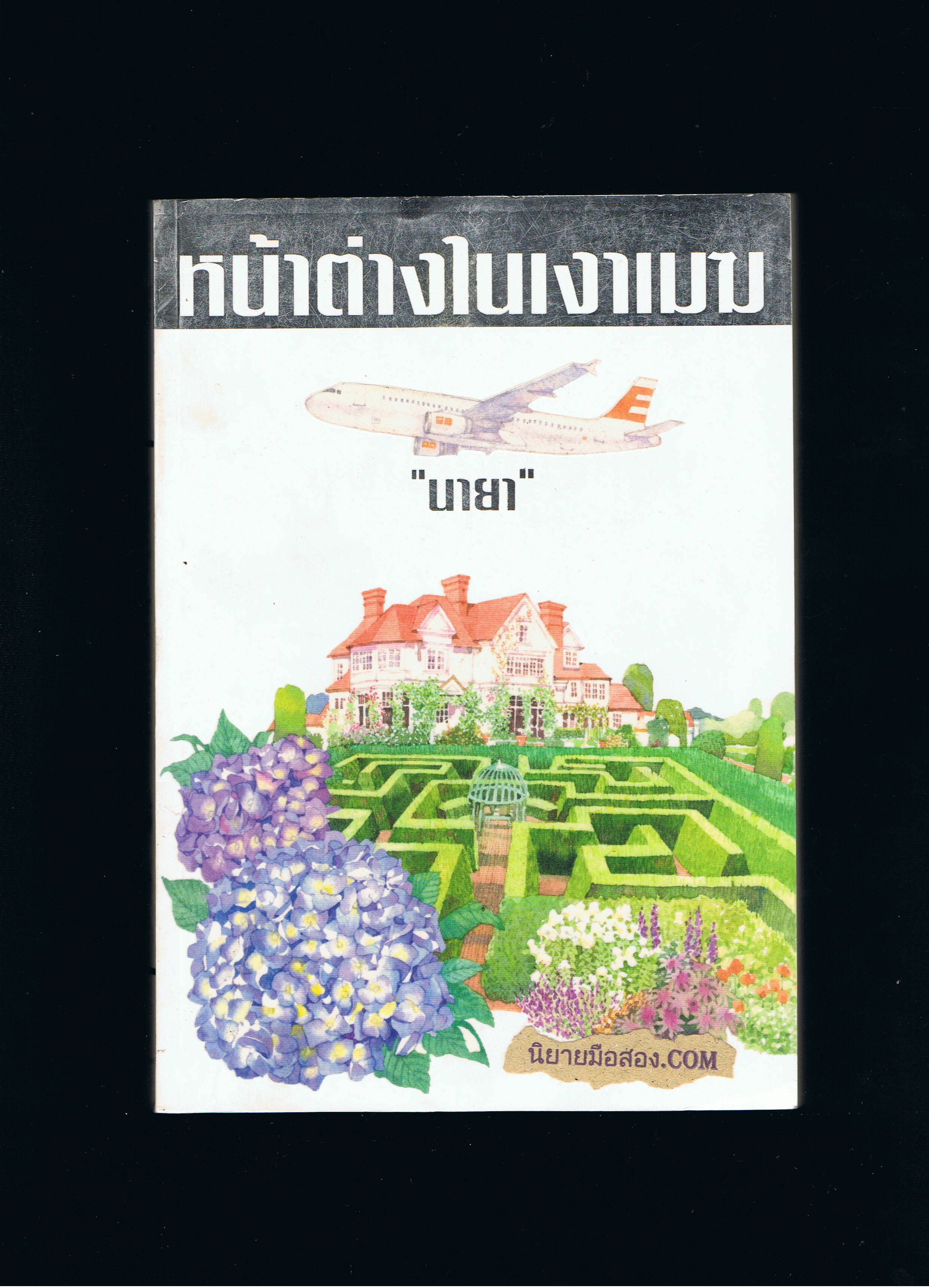 หน้าต่างในเงาเมฆ นายา เพื่อนดี