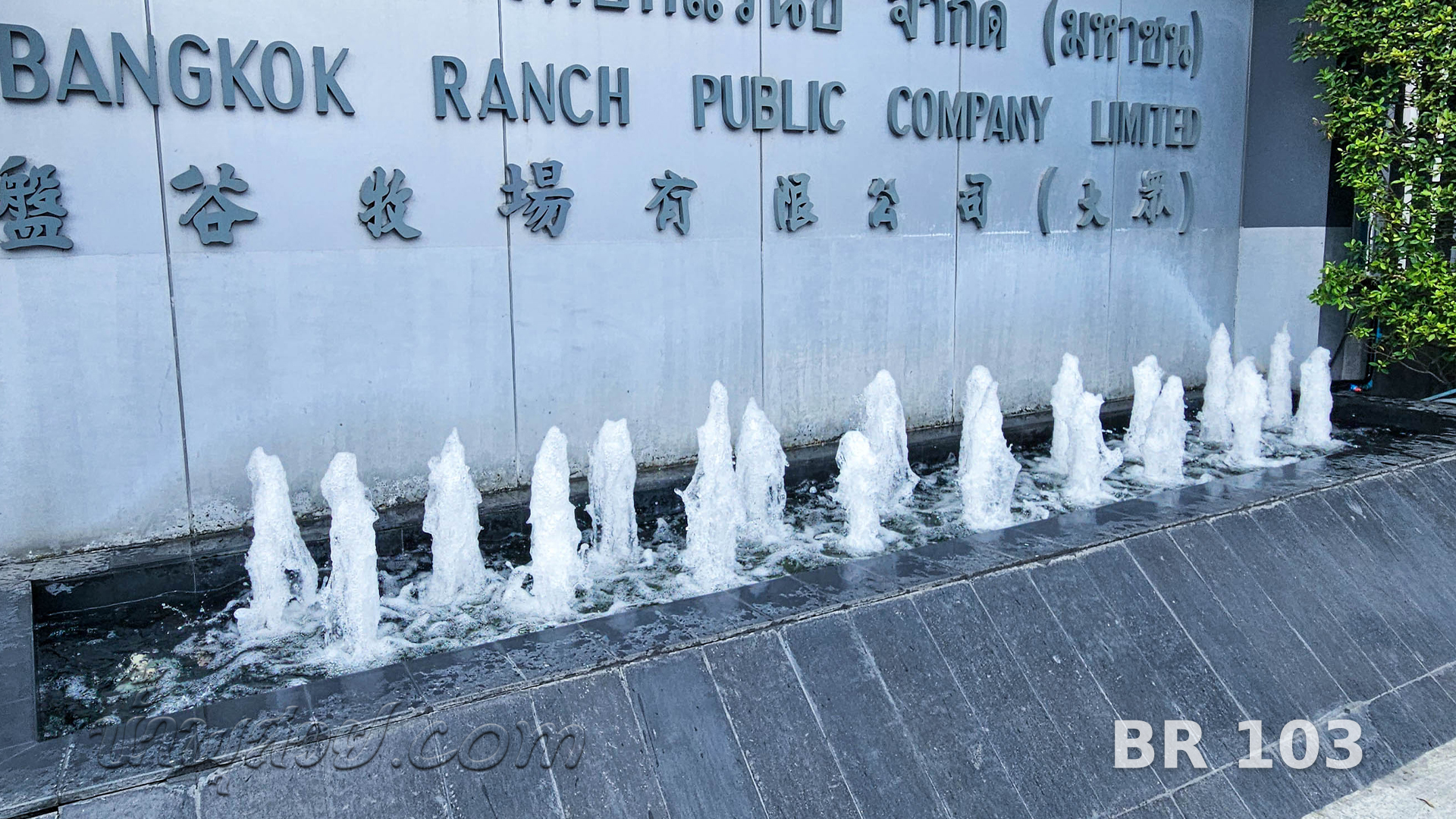 น้ำพุต้นสน บางกอกแร้นช์ จ.สมุทรปราการ