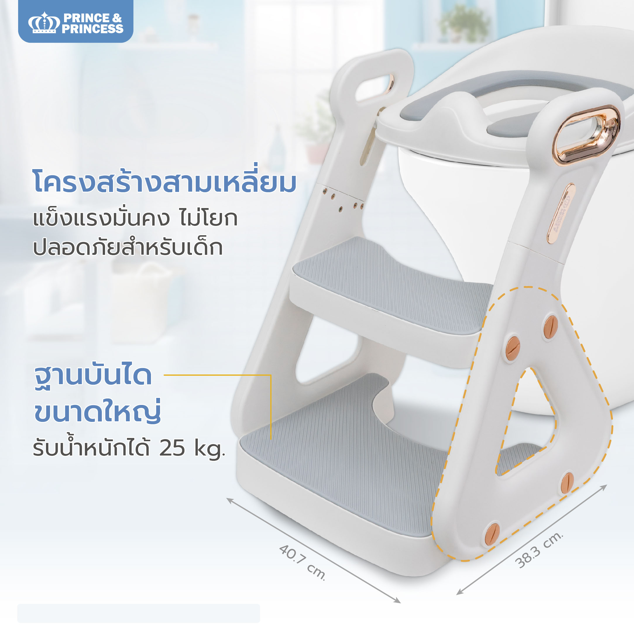 Prince & Princess บันไดชักโครกเด็ก 2in1 Baby Potty Ladder