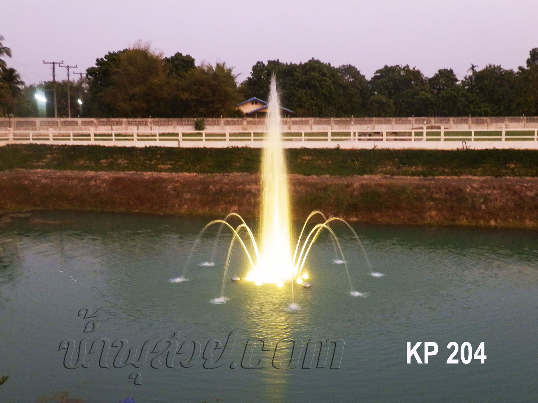 ชุดน้ำพุทุ่นลอย ดอกชบากลีบใหญ่ ที่ บ้านคุณเพ็ญรุ่ง ปราจีนบุรี