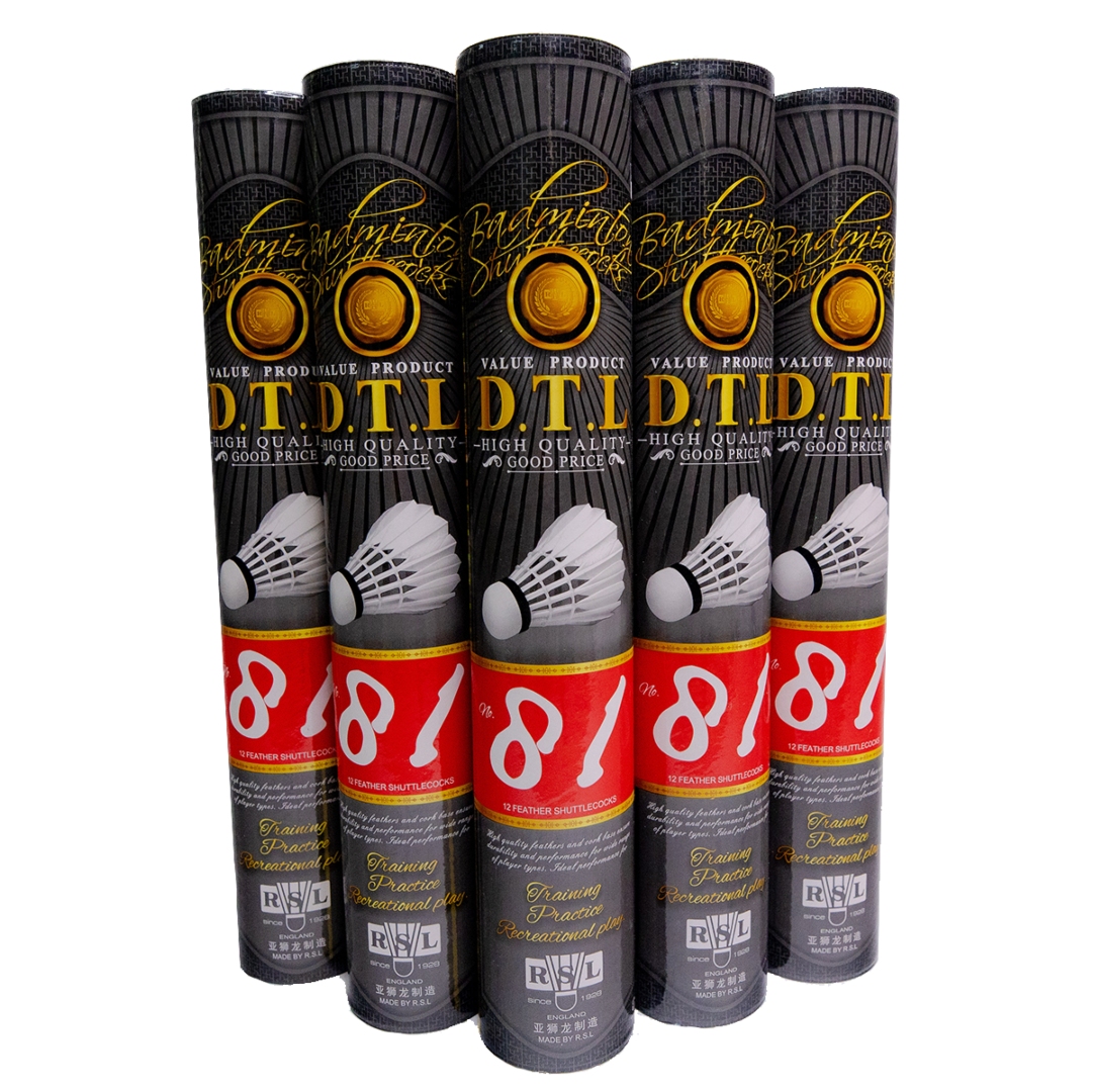 ลูกแบดมินตัน RSL DTL 81