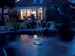 Water Starlet