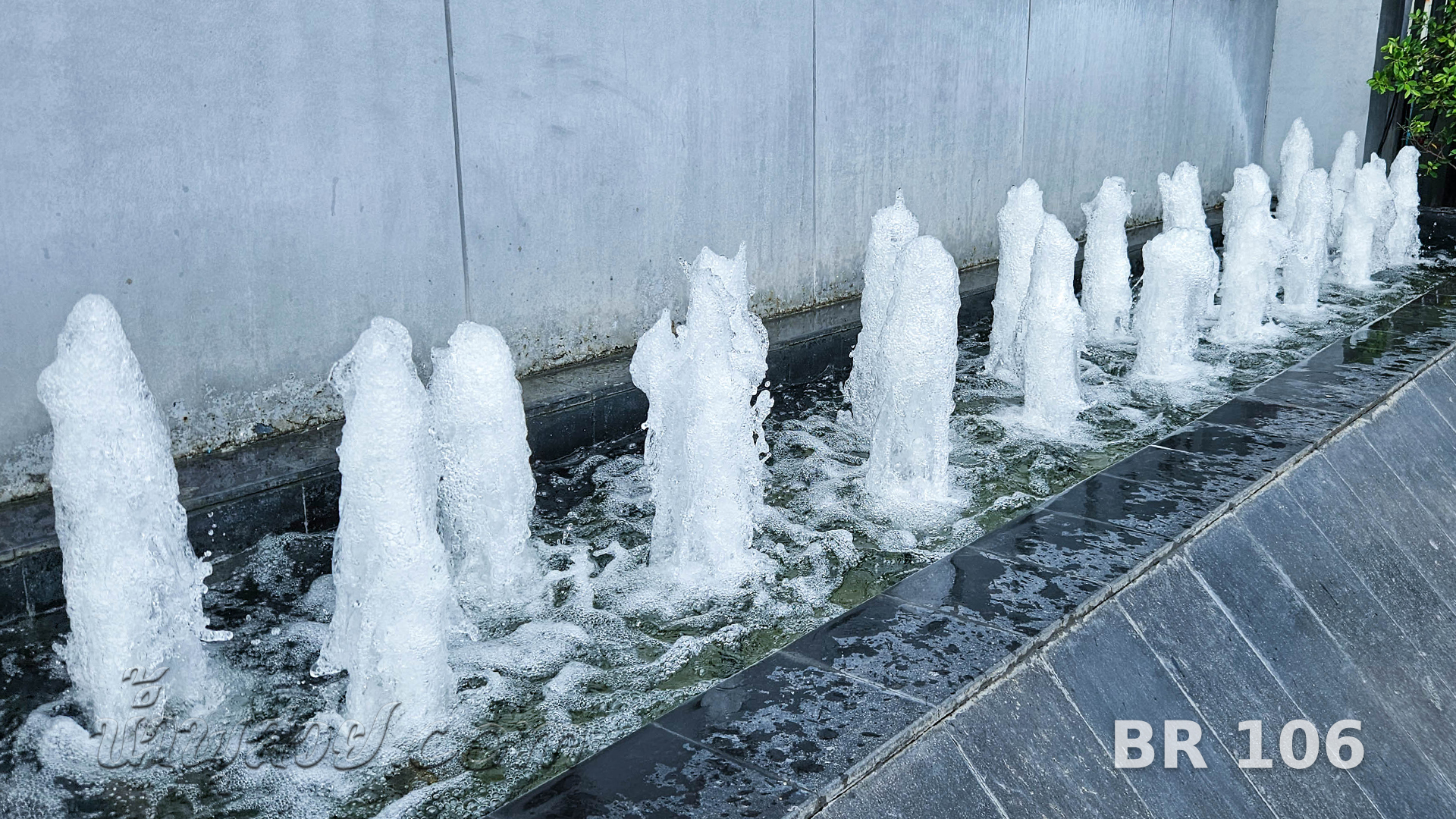 น้ำพุต้นสน บางกอกแร้นช์ จ.สมุทรปราการ