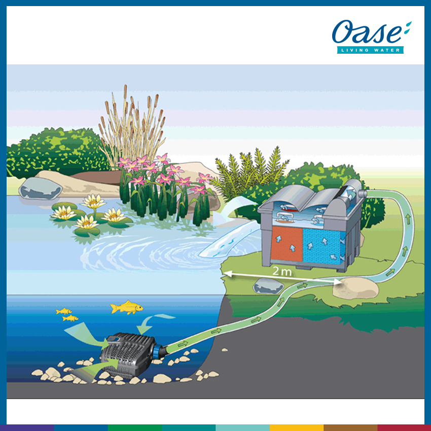 AquaMax ECO Classic 5500