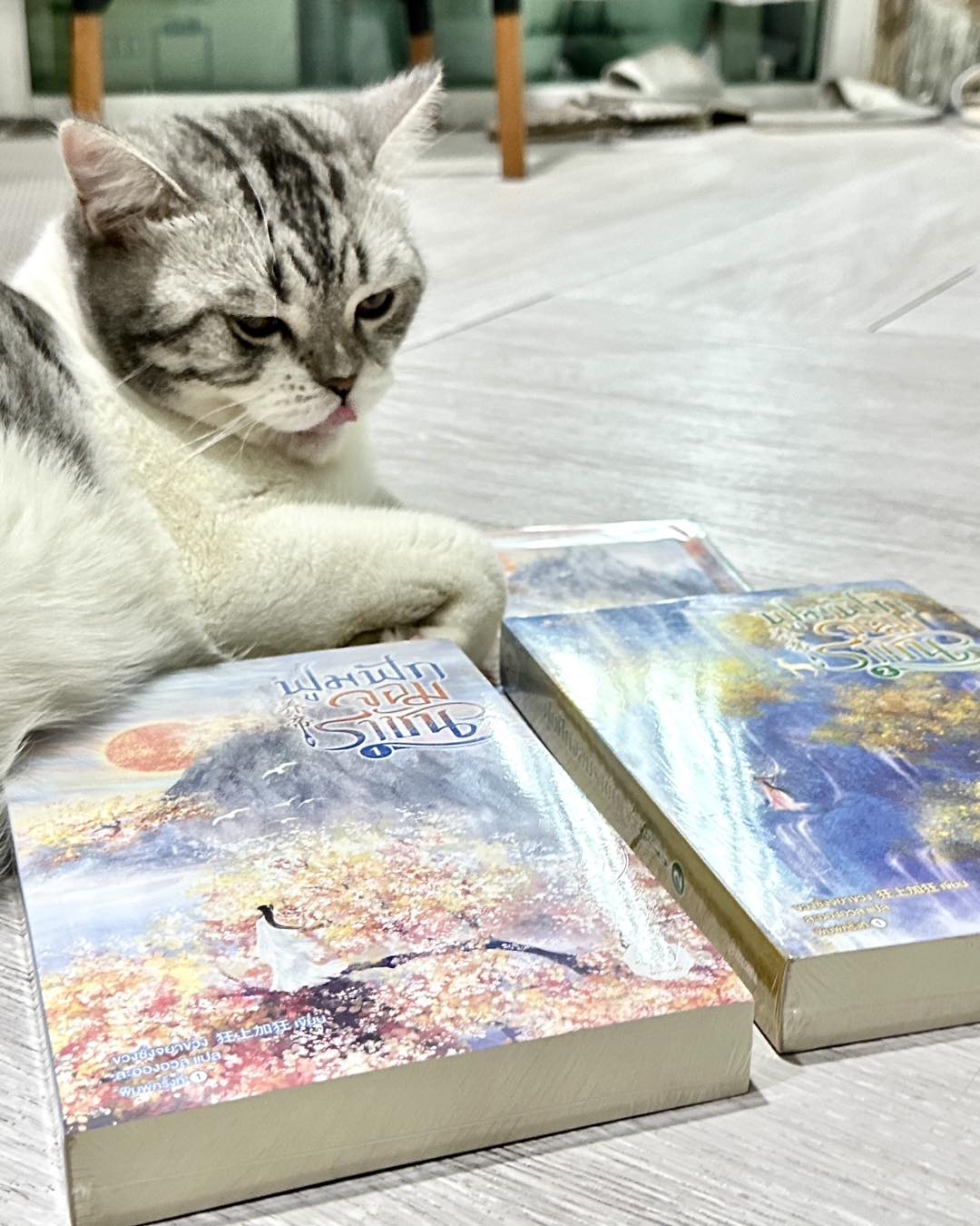 ฟูมฟักจอมราชัน เล่ม 1-2 (4 เล่มจบ) 养帝 ขวงซั่งจยาขวง 狂上加狂 แจ่มใส มากกว่ารัก