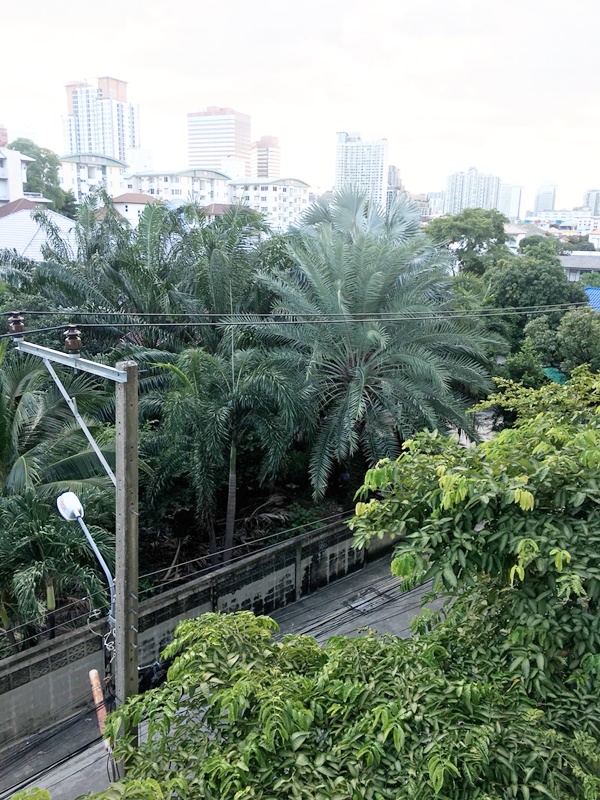 ให้เช่าคอนโด ศุภาลัย ซิตี้ รีสอร์ท รัชดา - ห้วยขวาง พื้นที่ 45 ตรม. 1 ห้องนอน เช่า 13,500 บ/ด