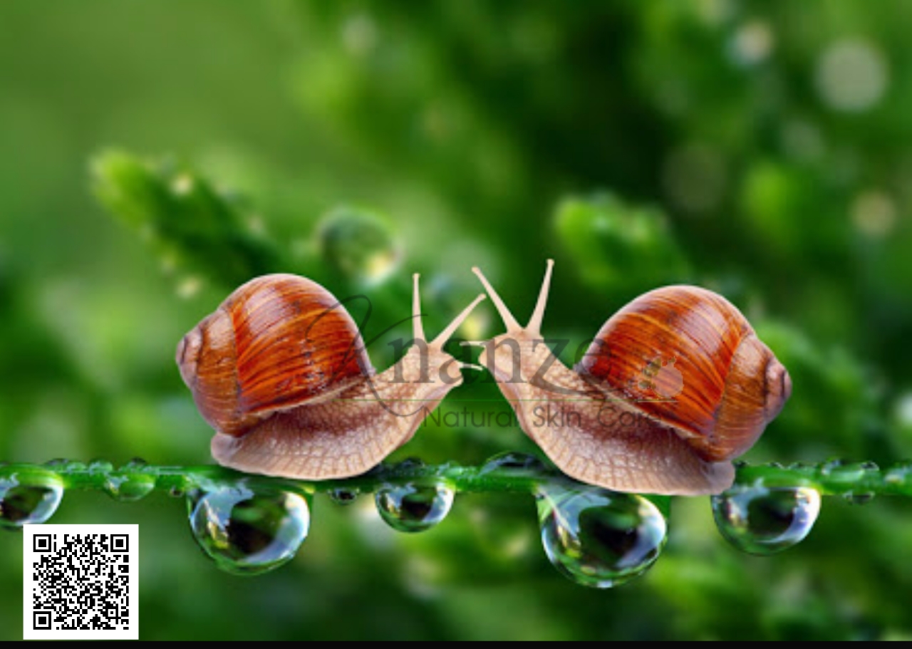 สารสกัดเมือกหอยทาก Snail Extract ขนาด 100 g.