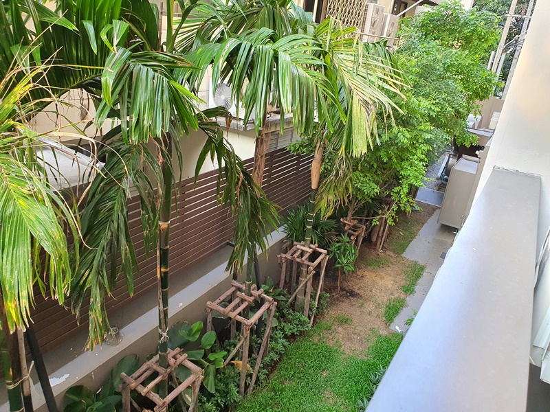 ให้เช่าคอนโด รูเนะสุ ทองหล่อ 5 พื้นที่ 35 ตร.ม. 1 ห้องนอน เช่า 45,000 บ/ด