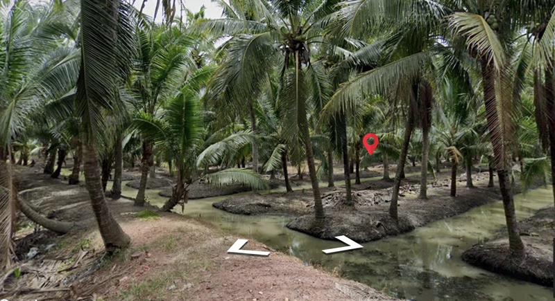 ขายที่ดิน สวนมะพร้าว ย่านดำเนินสะดวก พื้นที่ 14 ไร่ 2 งาน เศษ ขาย 18 ล้านบาท