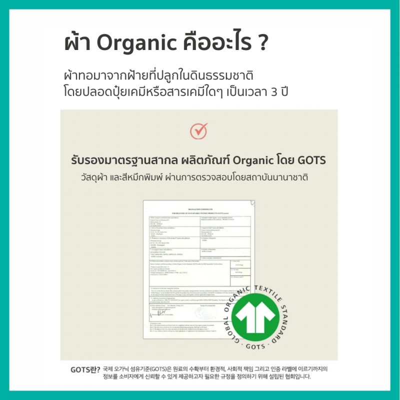 Lieto ผ้ารองฉี่เด็ก ผ้ารองที่นอนเด็กแบบกันลื่น ลายหมี Little bear