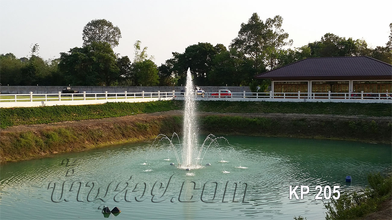 ชุดน้ำพุทุ่นลอย ดอกชบากลีบใหญ่ ที่ บ้านคุณเพ็ญรุ่ง ปราจีนบุรี