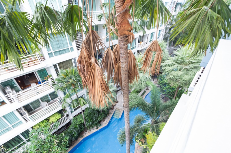 ให้เช่าคอนโด บ้าน สิริ สุขุมวิท 10 พื้นที่ 139 ตร.ม. 3 ห้องนอน ให้เช่า 65,000 บ/ด