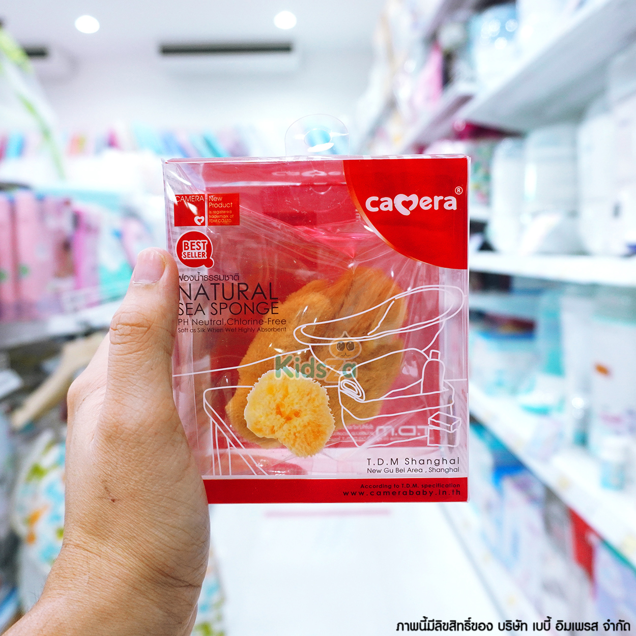 Camera ฟองน้ำ ฟองน้ำธรรมชาติ รุ่นฟองละเอียด Natural Sea Sponge C-19315