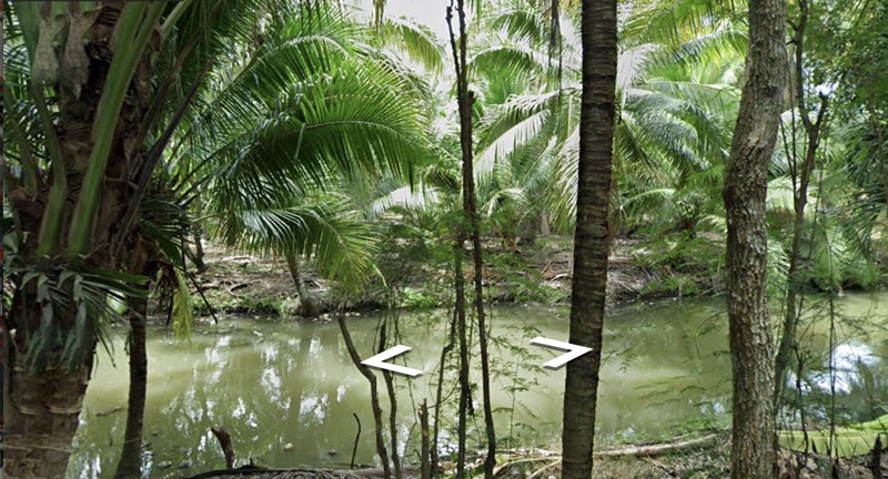 ขายที่ดิน สวนมะพร้าว ย่านดำเนินสะดวก พื้นที่ 14 ไร่ 2 งาน เศษ ขาย 18 ล้านบาท