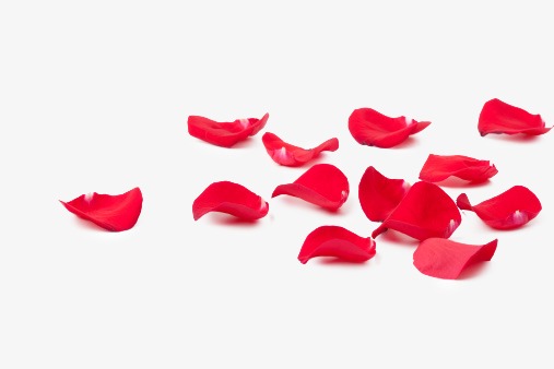 สารสกัดกุหลาบ Rose Water 1000g. ( 1 ลิตร )