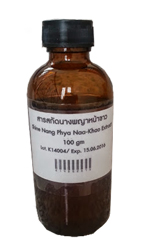 สารสกัดนางพญาหน้าขาว (Mallotus spodocarpus Extract) 100g.