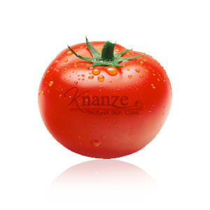 สารสกัดมะเขือเทศ Tomato Extract 100g.