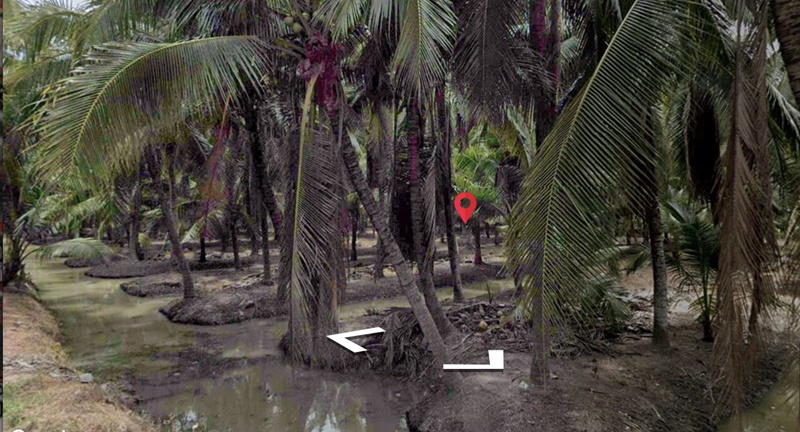 ขายที่ดิน สวนมะพร้าว ย่านดำเนินสะดวก พื้นที่ 14 ไร่ 2 งาน เศษ ขาย 18 ล้านบาท