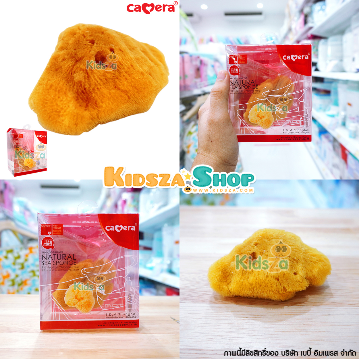 Camera ฟองน้ำ ฟองน้ำธรรมชาติ รุ่นฟองละเอียด Natural Sea Sponge C-19315