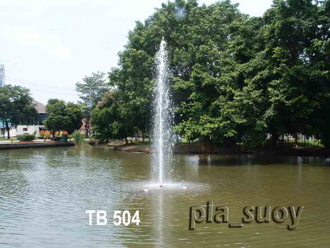 น้ำพุทุ่นลอยราคาประหยัด