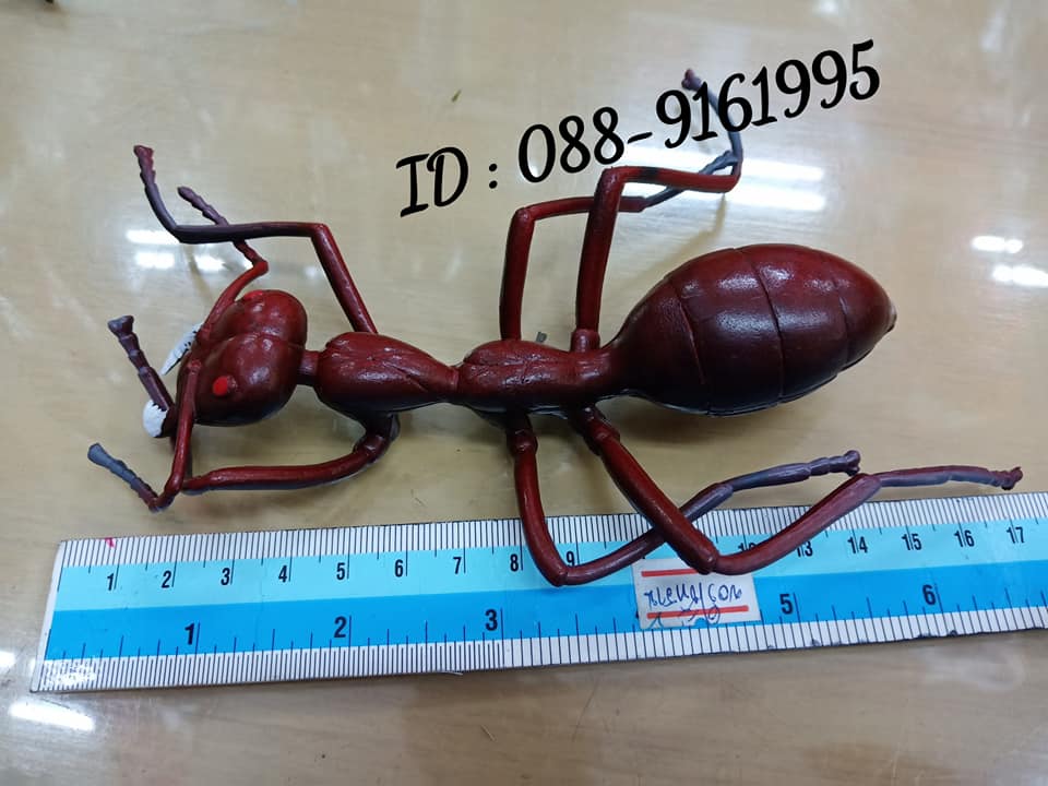 มด ของเล่นพลาสติก