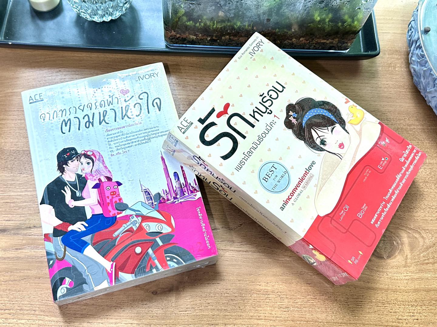 รักหนูร้อนเพราะโลกมันร้อนนี่คะ เล่ม1-2 IVORY ACE PUBLISHING