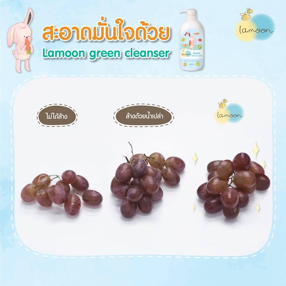 Lamoon ละมุน [400ml] น้ำยาล้างผักและผลไม้ หัวปั๊ม Organic Green Cleansers