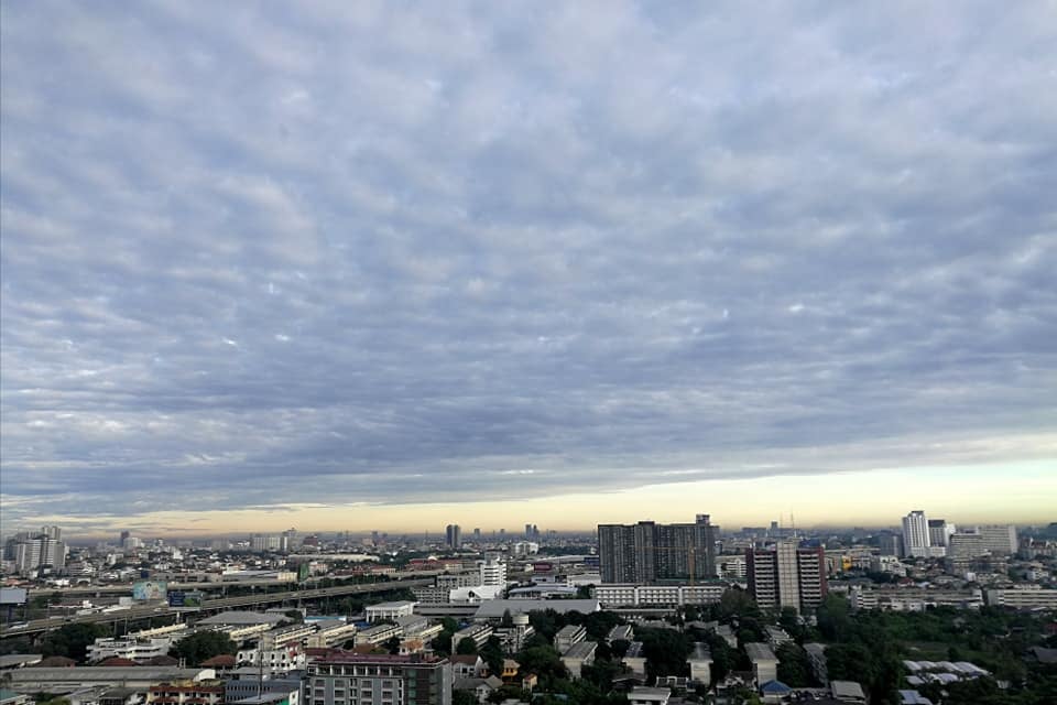 ให้เช่าคอนโด ศุภาลัย ปาร์ค รัชโยธิน พื้นที่ 49.5 ตร.ม. 1 ห้องนอน เช่า 15,000 บ/ด