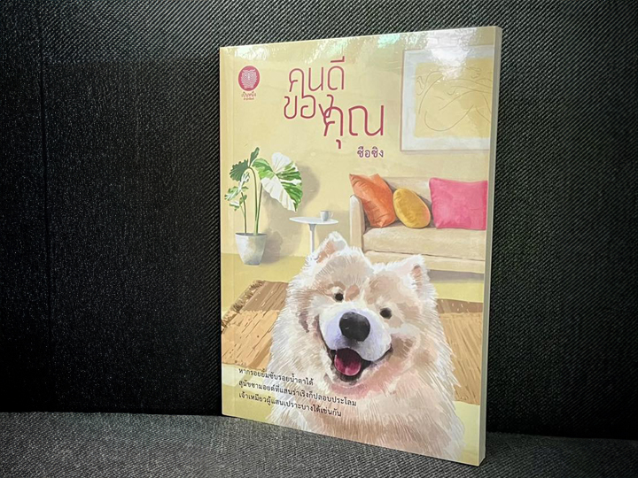 คนดีของคุณ ซือซิง เป็นหนึ่ง