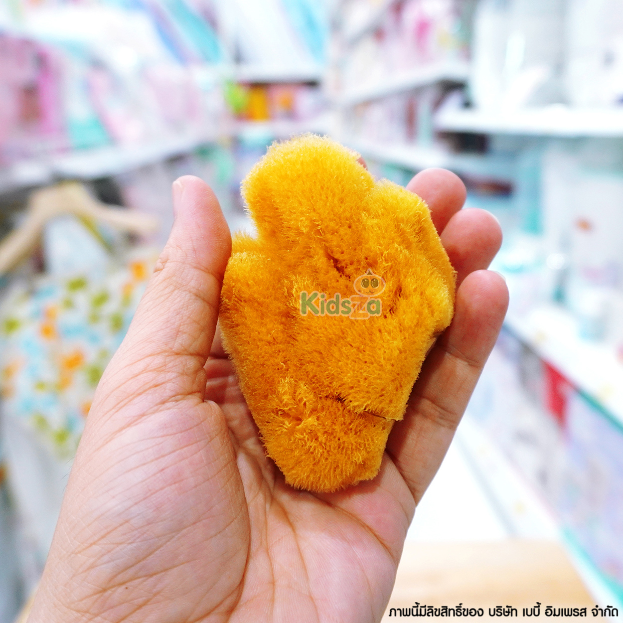 Camera ฟองน้ำ ฟองน้ำธรรมชาติ รุ่นฟองละเอียด Natural Sea Sponge C-19315